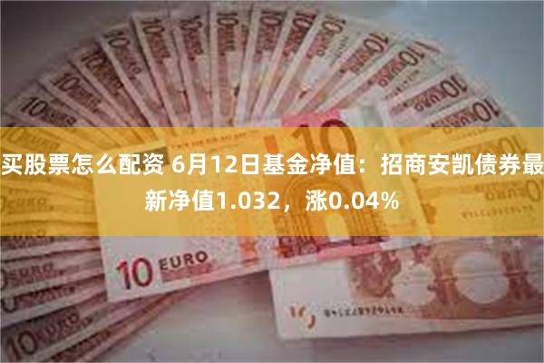 买股票怎么配资 6月12日基金净值：招商安凯债券最新净值1.032，涨0.04%