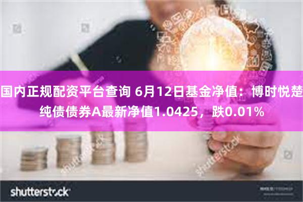 国内正规配资平台查询 6月12日基金净值：博时悦楚纯债债券A最新净值1.0425，跌0.01%