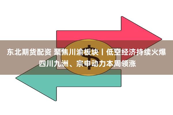 东北期货配资 聚焦川渝板块丨低空经济持续火爆 四川九洲、宗申动力本周领涨