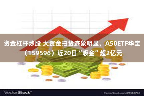 资金杠杆炒股 大资金扫货迹象明显，A50ETF华宝（159596）近20日“吸金”超2亿元