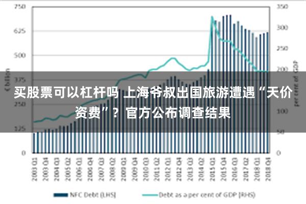 买股票可以杠杆吗 上海爷叔出国旅游遭遇“天价资费”？官方公布调查结果