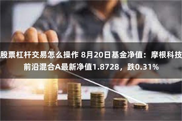 股票杠杆交易怎么操作 8月20日基金净值：摩根科技前沿混合A最新净值1.8728，跌0.31%