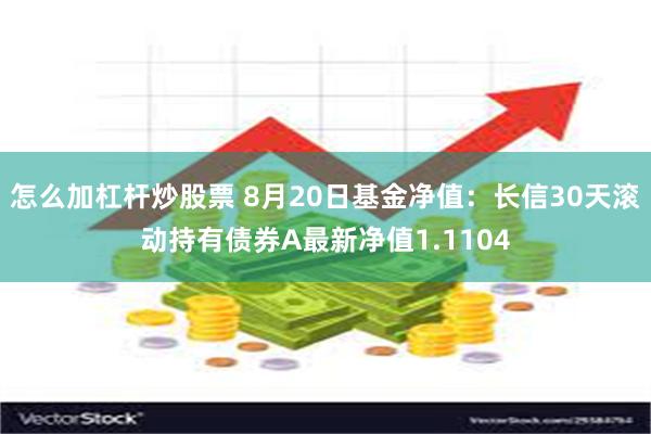 怎么加杠杆炒股票 8月20日基金净值：长信30天滚动持有债券A最新净值1.1104