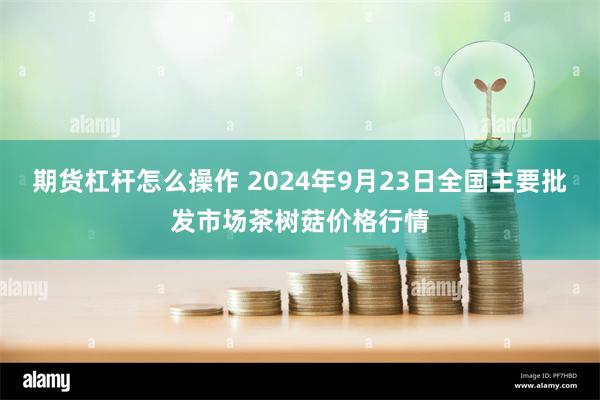 期货杠杆怎么操作 2024年9月23日全国主要批发市场茶树菇价格行情