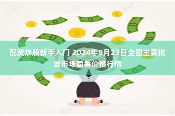 配资炒股新手入门 2024年9月23日全国主要批发市场茴香价格行情