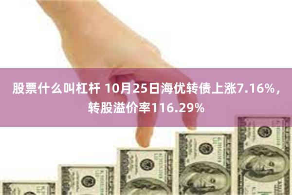 股票什么叫杠杆 10月25日海优转债上涨7.16%，转股溢价率116.29%