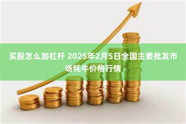 买股怎么加杠杆 2025年2月5日全国主要批发市场牦牛价格行情