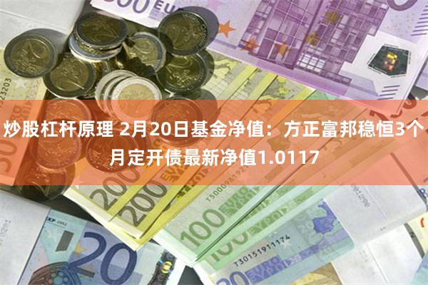 炒股杠杆原理 2月20日基金净值：方正富邦稳恒3个月定开债最新净值1.0117