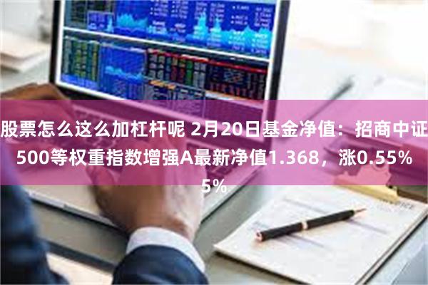 股票怎么这么加杠杆呢 2月20日基金净值：招商中证500等权重指数增强A最新净值1.368，涨0.55%